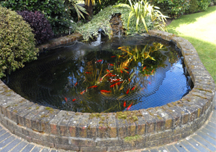pond installation