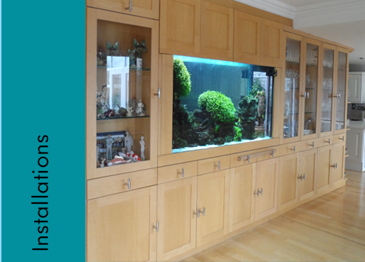 fish tank cleaning in Hertfordshire